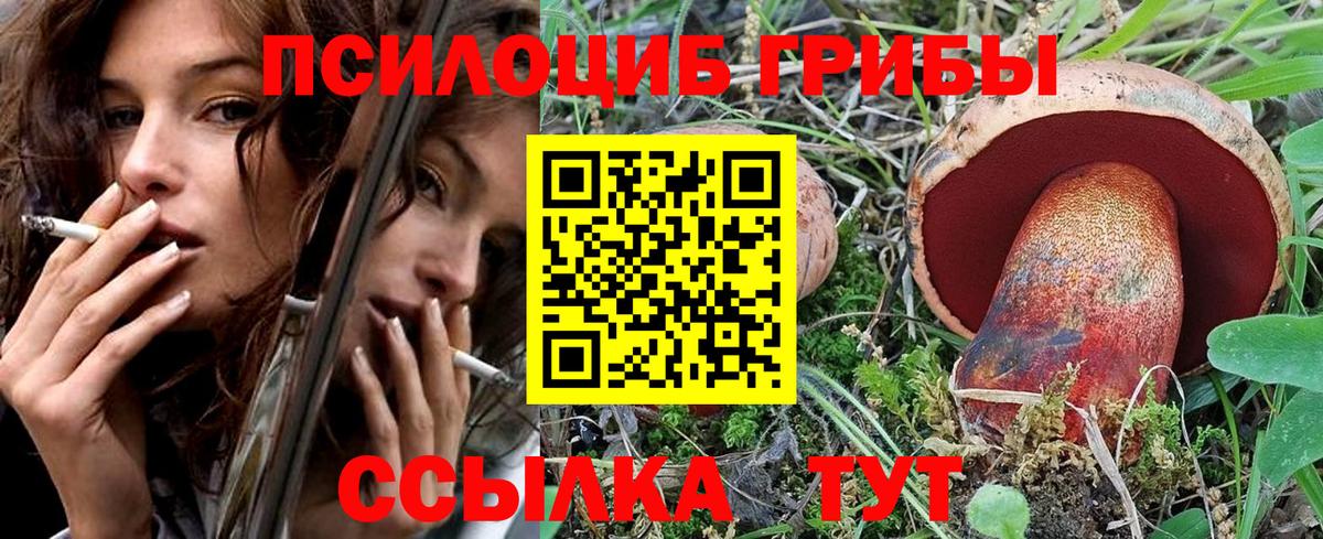 Острогожск  где найти наркотики  Вход с VPN  Псилоцибиновые грибы Psilocybe  Псилоцибиновые грибы Magic Shrooms 