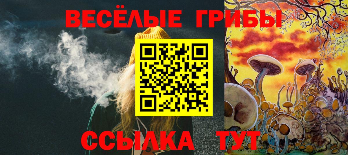 Галлюциногенные грибы Psilocybe Острогожск